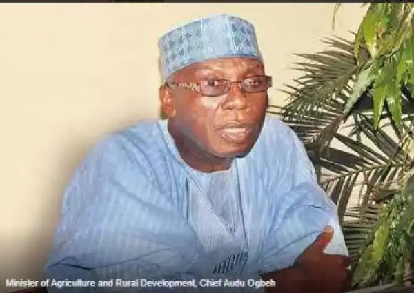 I Hope Naira Does Not Hit N1000 Per Dollar - Minister Of Agriculture, Audu Ogbeh